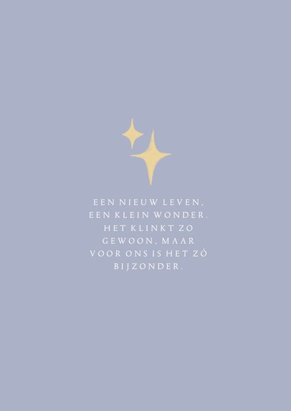 Geboortekaartje regenboogbaby wit konijn jongen 2