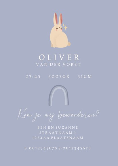 Geboortekaartje regenboogbaby wit konijn jongen 3