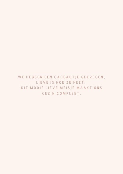 Geboortekaartje reiswiegje roze 2