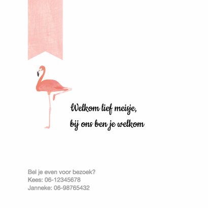 Geboortekaartje roze flamingo's 2