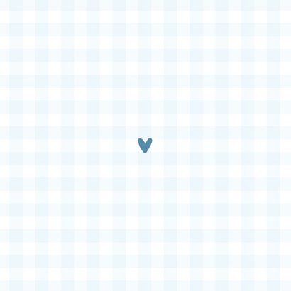 Geboortekaartje ruitjespatroon blauw met zeilbootje Achterkant