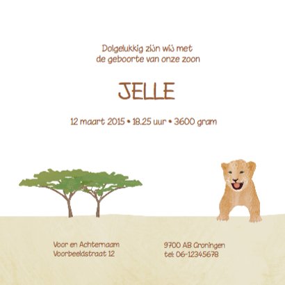 Geboortekaartje safari 3