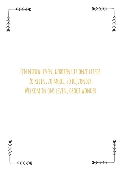 Geboortekaartje Sietze - HM 2