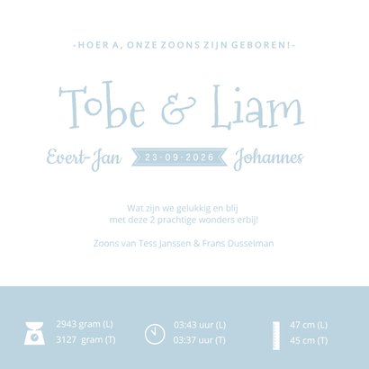 Geboortekaartje silhouet 2 jongens tweeling kleur aanpasbaar 3