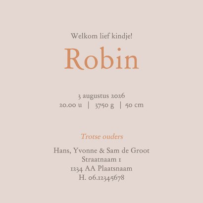 Geboortekaartje silhouet baby in hangschommel en broertje 3