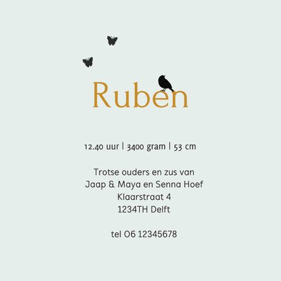 Geboortekaartje silhouet broer 3