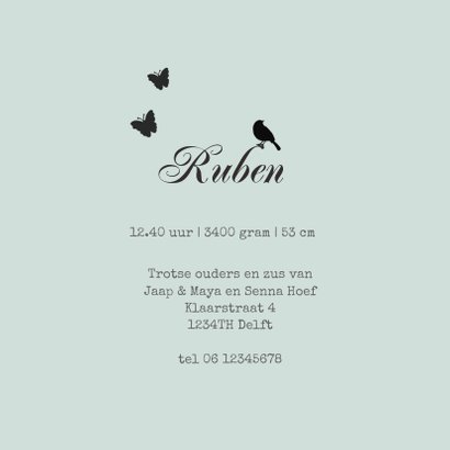 Geboortekaartje silhouet broer 3