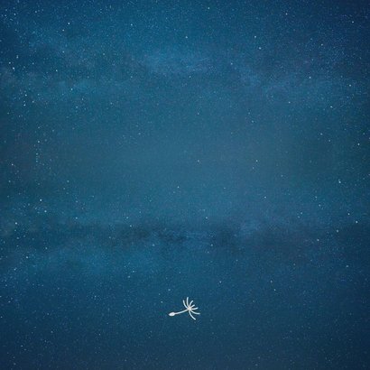 Geboortekaartje silhouet meisje paardenbloem en maan Achterkant