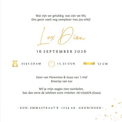 Geboortekaartje silhouet met grote broer bij wiegje broertje 3