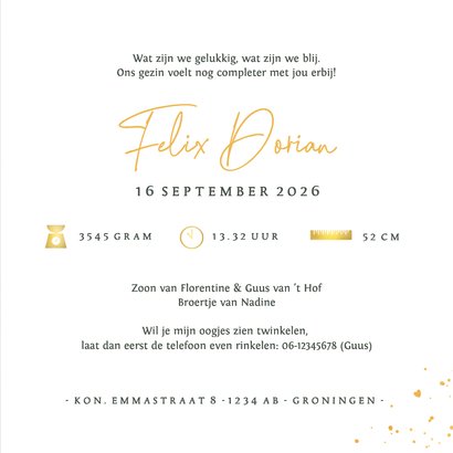 Geboortekaartje silhouet wieg grote zus babybroertje 3