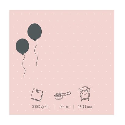 Geboortekaartje silhouet wieg zusje 2