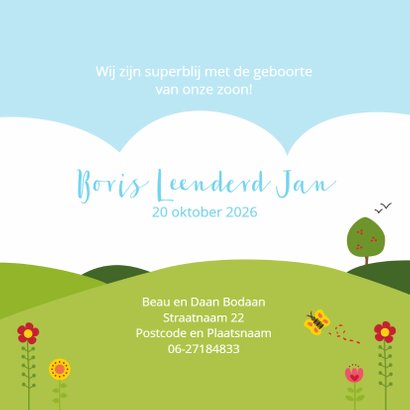 Geboortekaartje slapend jongetje met vriendjes 3