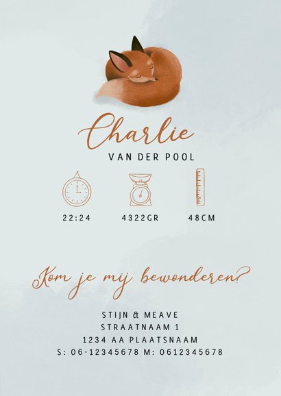 Geboortekaartje slapend lief vosje 3