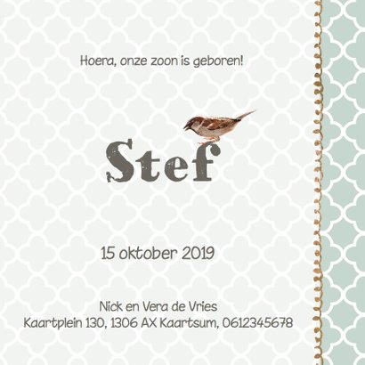 Geboortekaartje Stef mint groen hout- LO 3