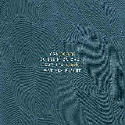 Geboortekaartje stijlvol blauw met veren 2