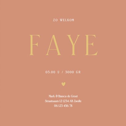 Geboortekaartje stijlvol terra met veren 3