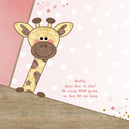 Geboortekaartje stoer kaartje met lief girafje en hartjes 2