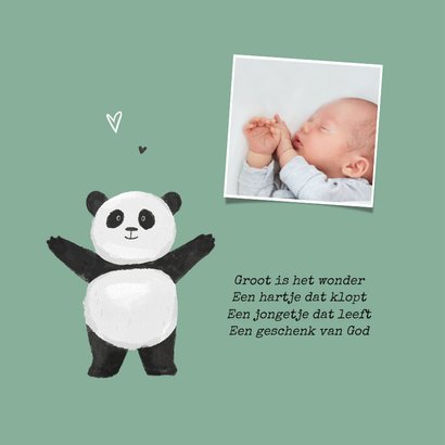 Geboortekaartje stoer panda beer dieren groen 2