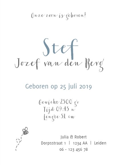 Geboortekaartje stoere leeuw 3