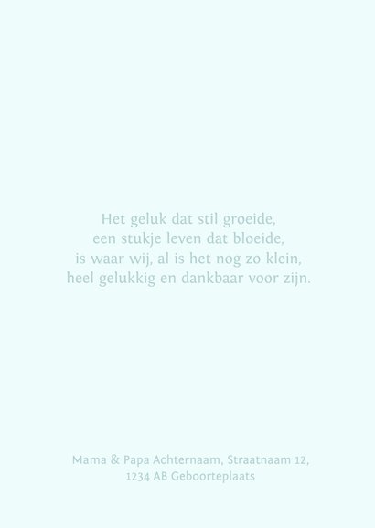 Geboortekaartje Tijdschrift Blue 2