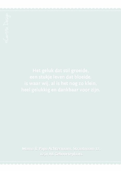 Geboortekaartje Tijdschrift Blue 2