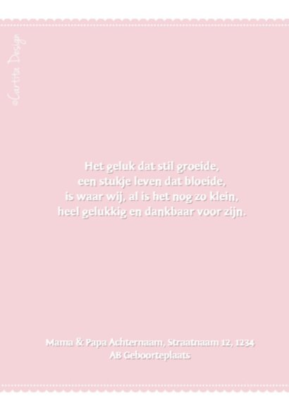 Geboortekaartje Tijdschrift Roze 2
