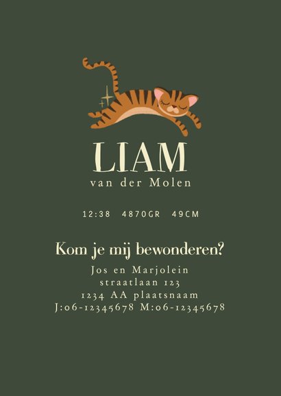Geboortekaartje tijger goud 3