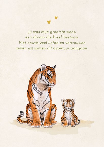 Geboortekaartje tijgertje jungle kaders kleurrijk vrolijk 2