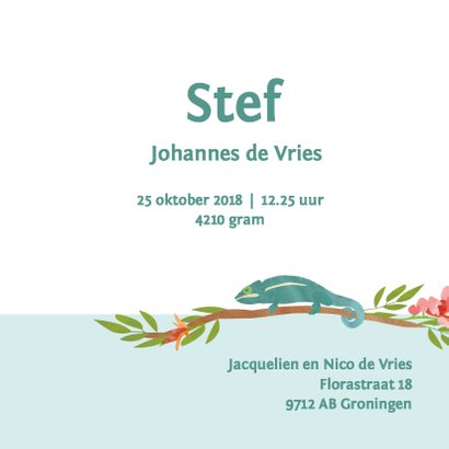 Geboortekaartje tropische jungle 3