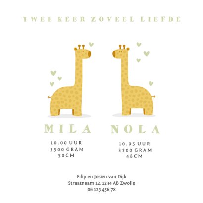 Geboortekaartje twee giraffes met hartjes 3