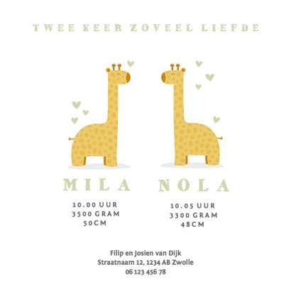 Geboortekaartje twee giraffes met hartjes 3