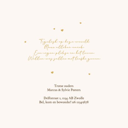 Geboortekaartje tweeling eendjes lief goud hartjes 2