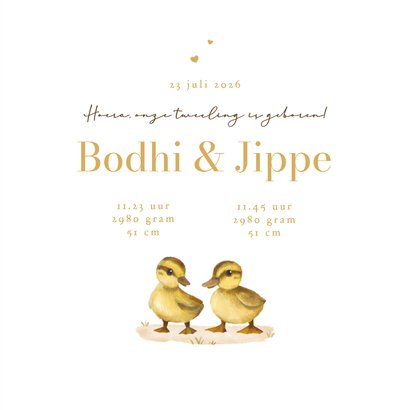 Geboortekaartje tweeling eendjes lief goud hartjes 3