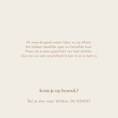 Geboortekaartje tweeling in kruiwagen met zusje 2