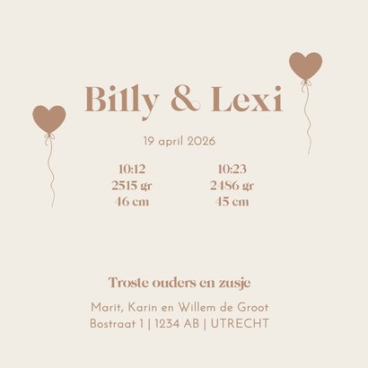 Geboortekaartje tweeling in kruiwagen met zusje 3