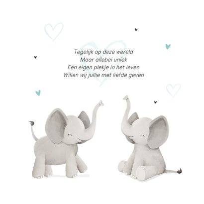 Geboortekaartje tweeling jongens olifantjes hartjes foto 2