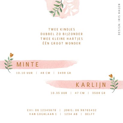 Geboortekaartje tweeling meisjes met lieve olifantjes 2