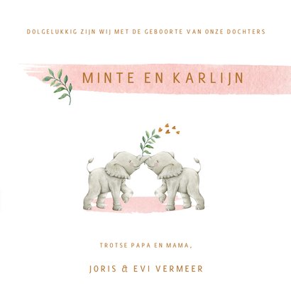 Geboortekaartje tweeling meisjes met lieve olifantjes 3