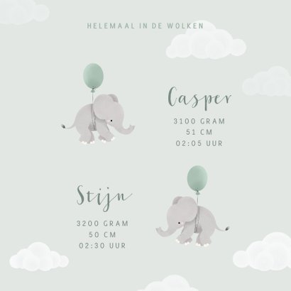Geboortekaartje tweeling met olifantjes en ballonnen 3