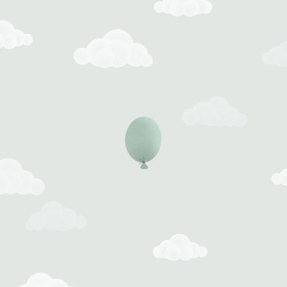 Geboortekaartje tweeling met olifantjes en ballonnen Achterkant