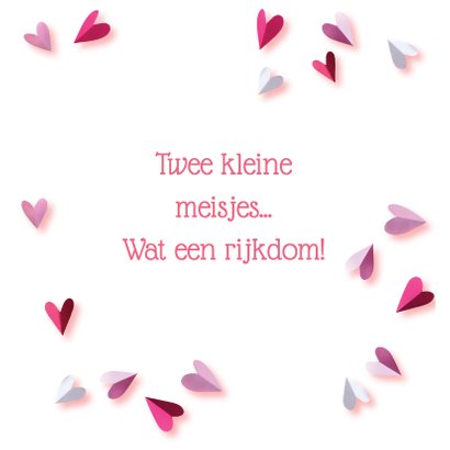 Geboortekaartje tweeling roze 2