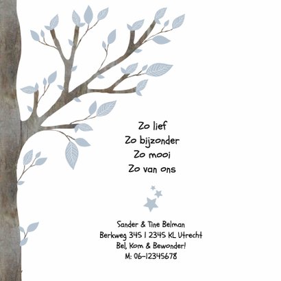 Geboortekaartje Uil Jongen Boom 2