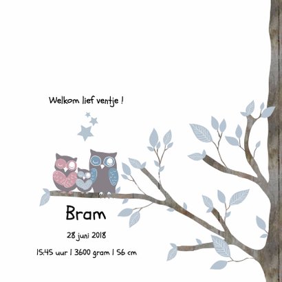 Geboortekaartje Uil Jongen Boom 3