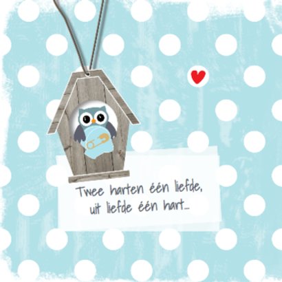 Geboortekaartje uil voor jongen - LO 2