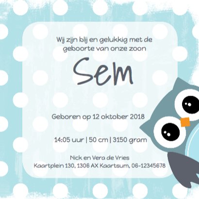 Geboortekaartje uil voor jongen - LO 3