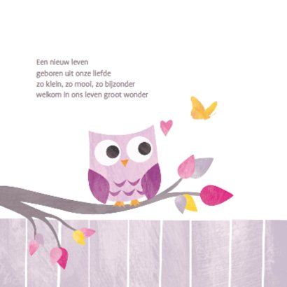 Geboortekaartje uiltje hartjes 2