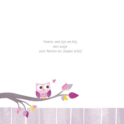 Geboortekaartje uiltje twee broertjes 2