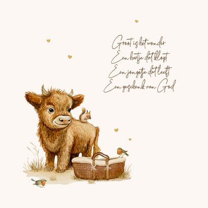 Geboortekaartje unisex dieren mozesmand waterverf schattig 2