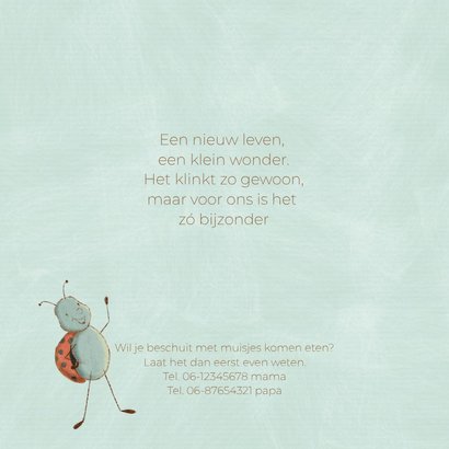 Geboortekaartje unisex met beer en lieveheersbeestje 2