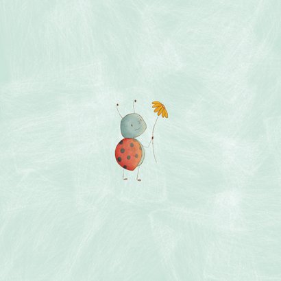 Geboortekaartje unisex met beer en lieveheersbeestje Achterkant